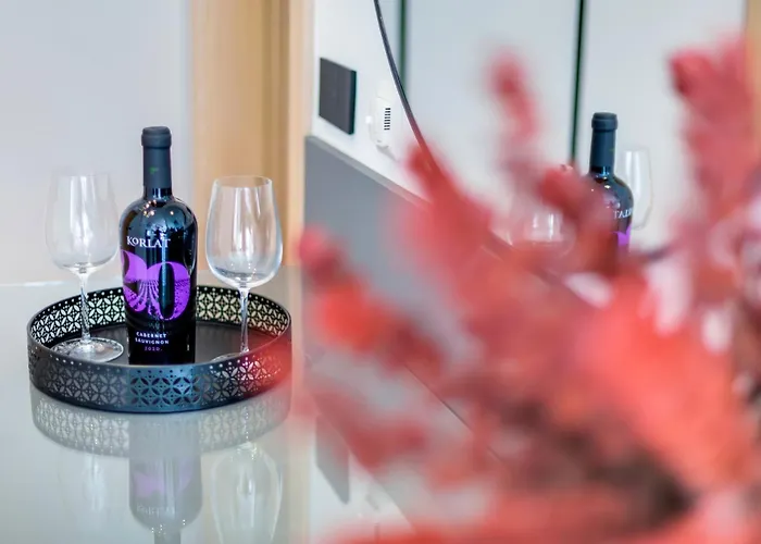 Fly - S4 - Mpolo Konukevi